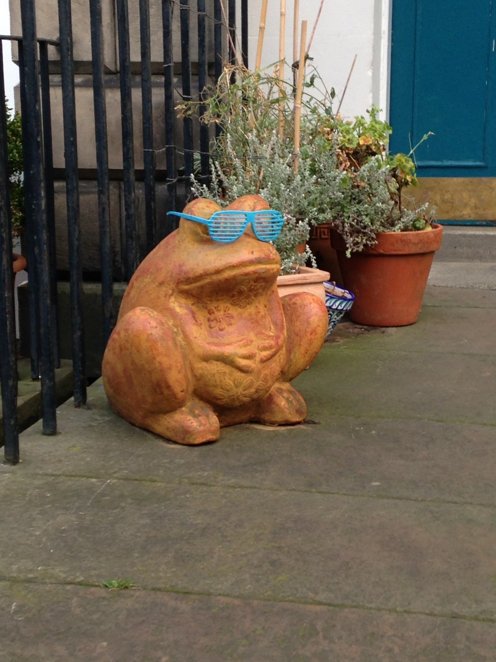 Session 13 – 17th January – Back to&nbsp;training